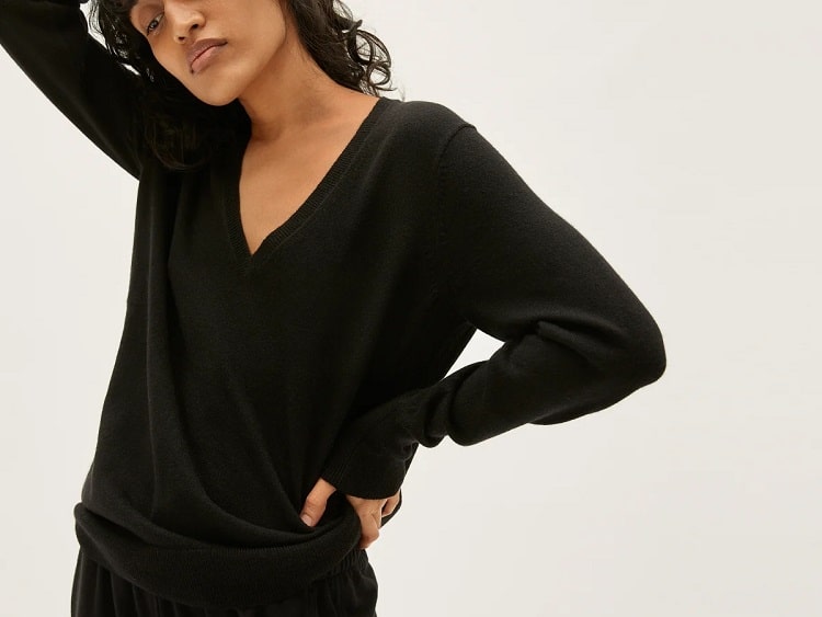 Everlane The Cashmere V-Neck