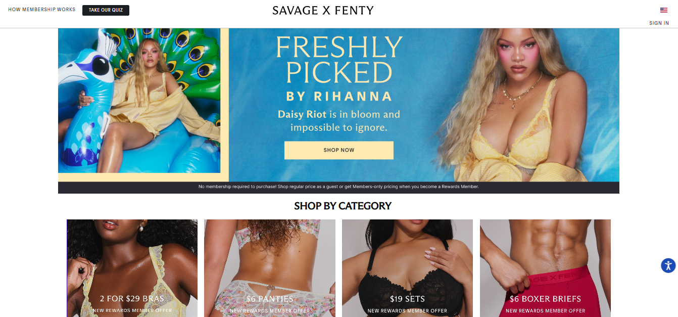 Savage X Fenty Alternatives